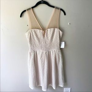 NWT Charlotte Russe Cream Lace Dress